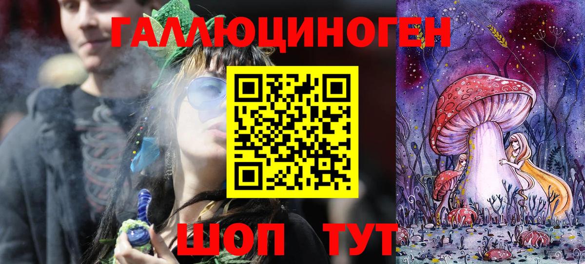 Славгород  Псилоцибиновые грибы мицелий  Вход с VPN 