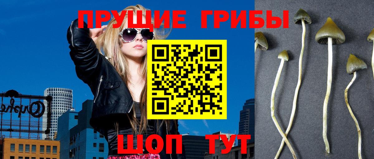Псилоцибиновые грибы прущие грибы Славгород